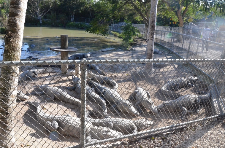 Как я жил в Пиндостане 11 лет назад и почему больше жить там не хочу?