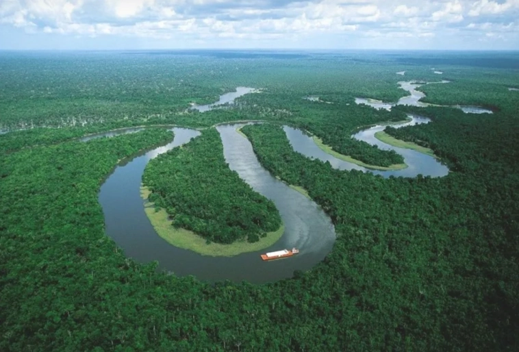 Стали ли вы инвестировать в Бразильскую экономику или почему через Амазонку нет ни одного моста Стали ли вы инвестировать в Бразильскую экономику или почему через Амазонку нет ни одного моста