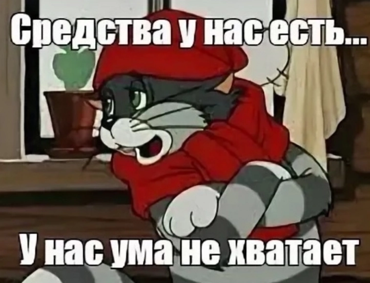 Стали ли вы инвестировать в Бразильскую экономику или почему через Амазонку нет ни одного моста Стали ли вы инвестировать в Бразильскую экономику или почему через Амазонку нет ни одного моста