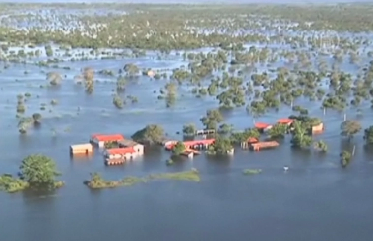 Стали ли вы инвестировать в Бразильскую экономику или почему через Амазонку нет ни одного моста Стали ли вы инвестировать в Бразильскую экономику или почему через Амазонку нет ни одного моста