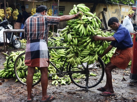 Есть ли альтернатива эквадорским бананам? Каковы последствия разрыва отношений с Эквадором для российских граждан с невысоким достатком
