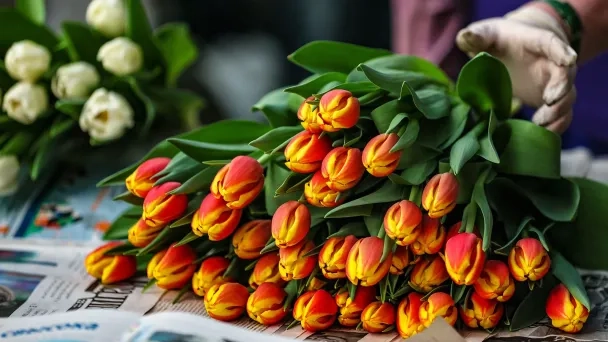 8 Марта: объем поставок свежесрезанных цветов сократился, вызывая рост цен и возможный дефицит.