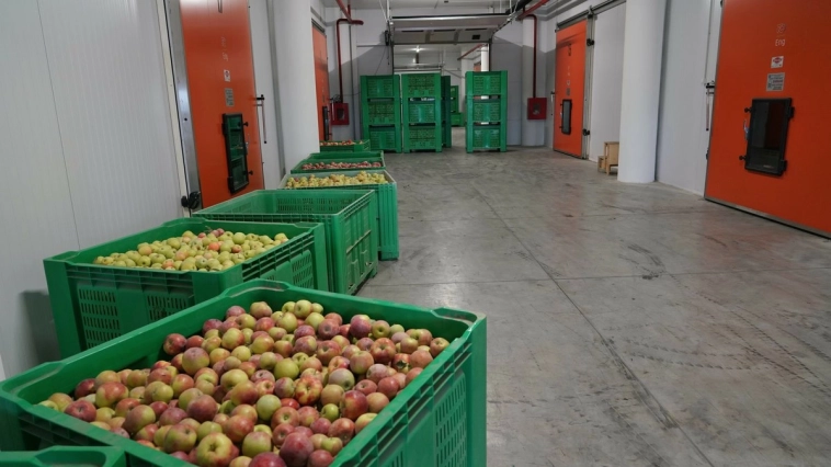 Новые заводы России: чипы, двигатели, кварцевое стекло. Ноябрь 2024, 8-я часть Новые заводы России: чипы, двигатели, кварцевое стекло. Ноябрь 2024, 8-я часть