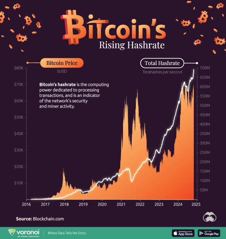 Визуализация роста хешрейта биткоина