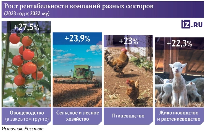 Прибыль производителей яиц и овощей в 2023-м выросла втрое — Известия