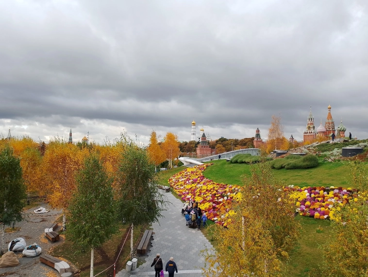 Конфа Смартлаба - Москва - отзыв натуралиста