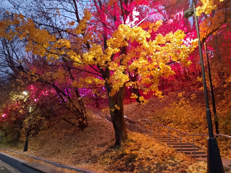 Конфа Смартлаба - Москва - отзыв натуралиста