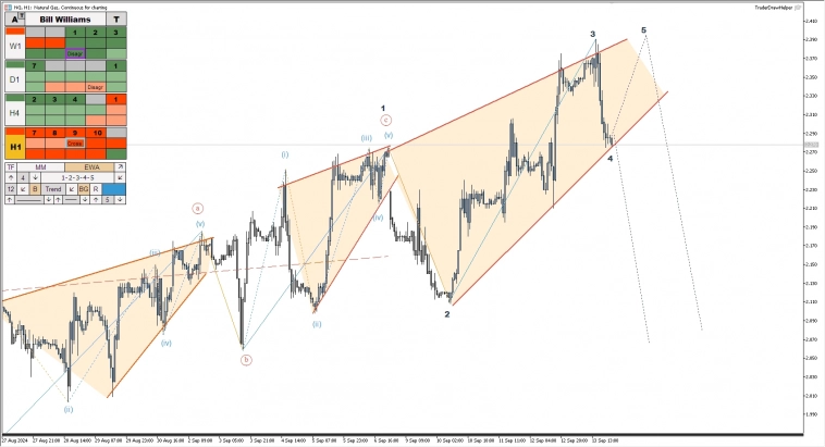Сырьё, металлы, форекс, крипта, рос. рынок. Обзор рынков по волнам Эллиотта