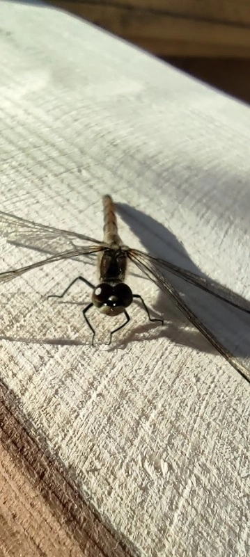 Отчёт за 2023 год Отчёт за 2023 год