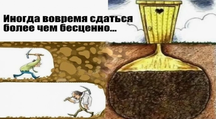 Как достичь успеха по мнению Ангелы Дакворт Как достичь успеха по мнению Ангелы Дакворт