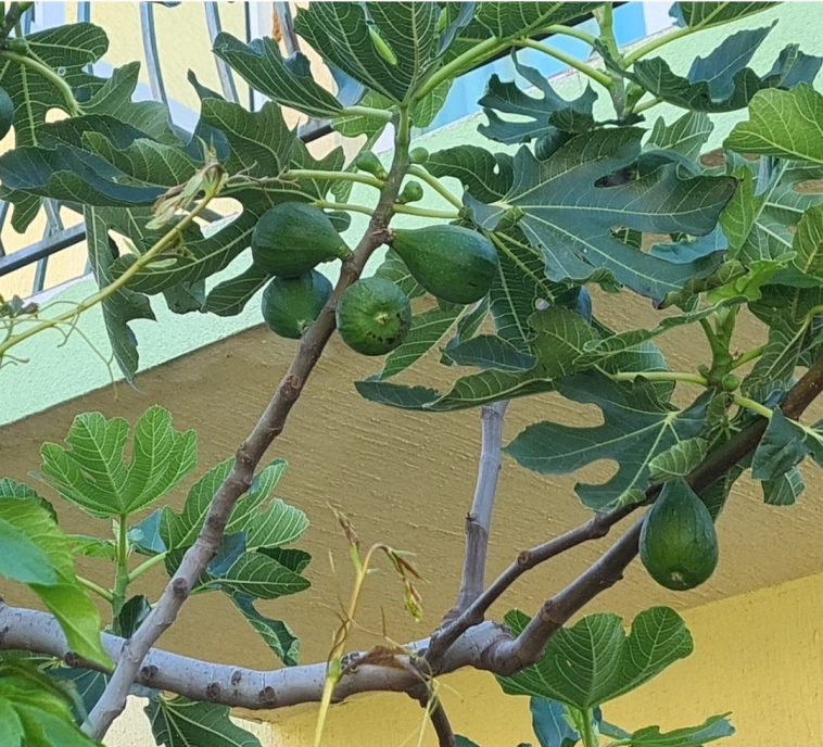 Азия. Пятница.