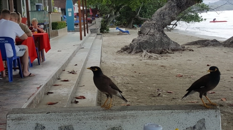 Азия. Четверг.