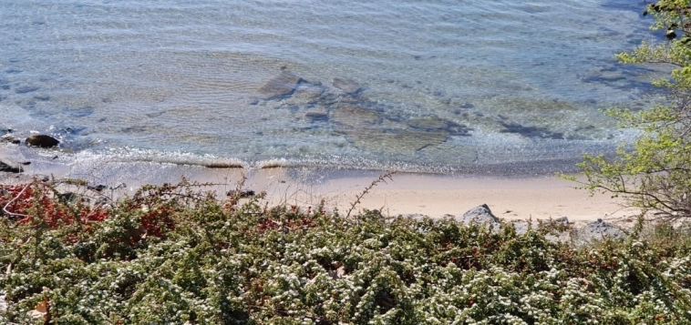 Азия. Пятница. Азия. Пятница.