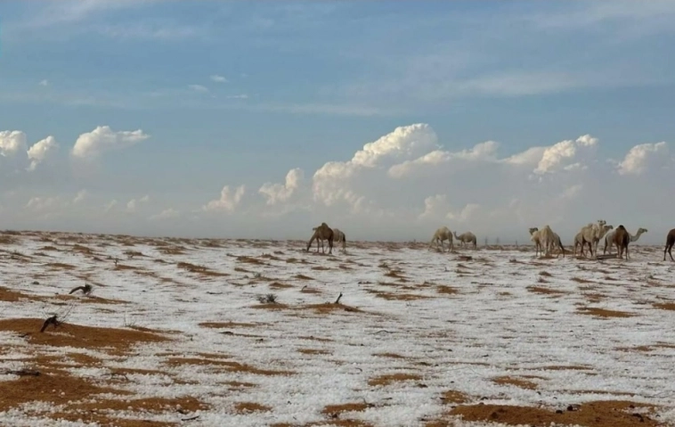 Азия. Понедельник.