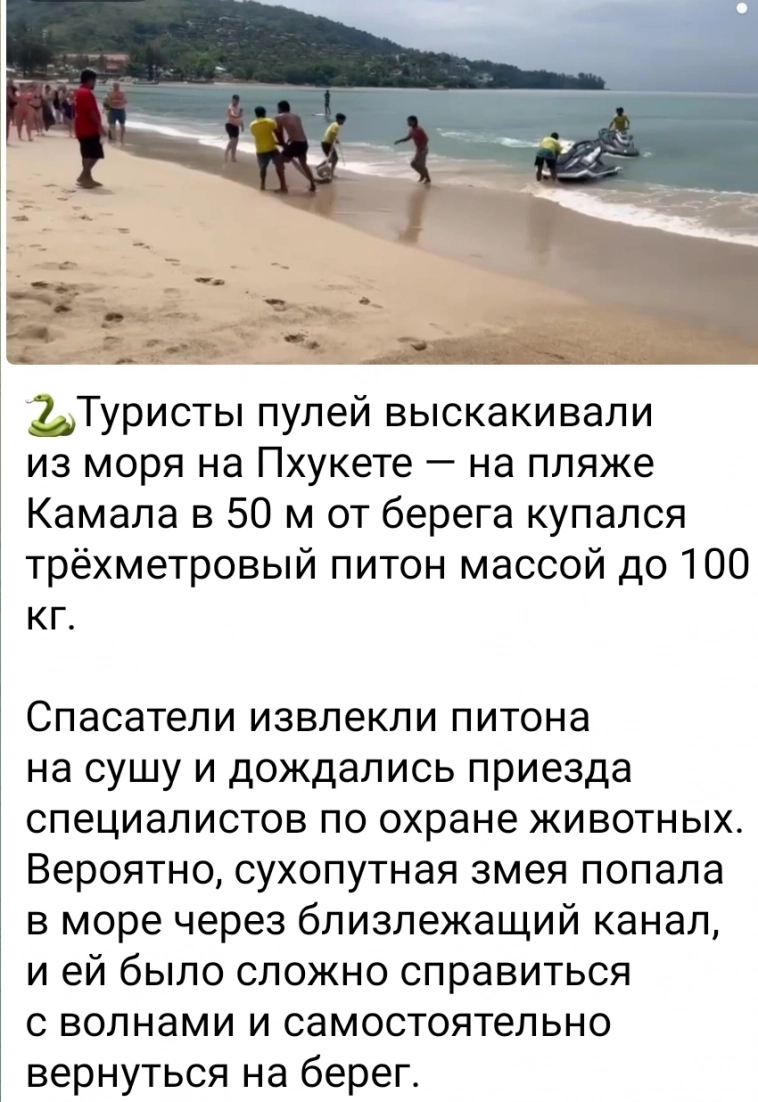 Азия. Пятница.