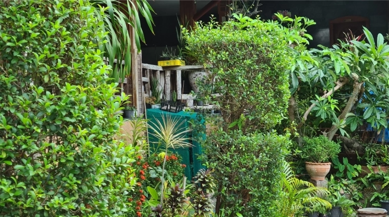 Азия. Пятница.