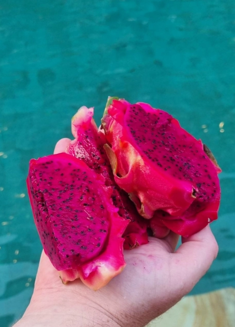 Азия. Среда.