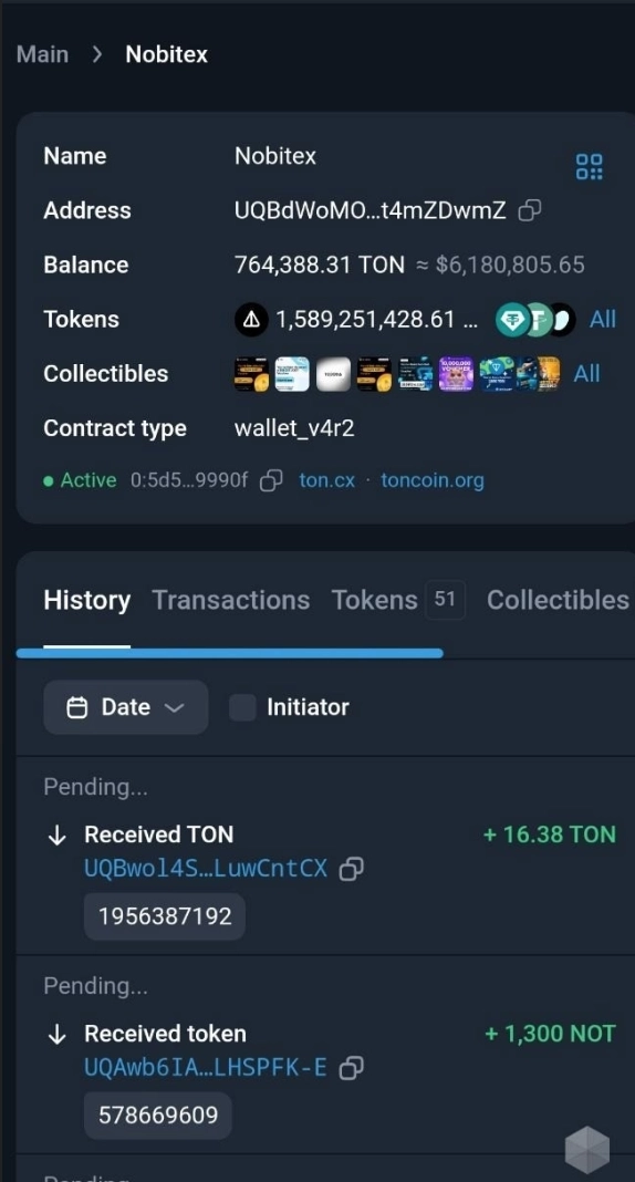 ​Киты заходят в NotCOin