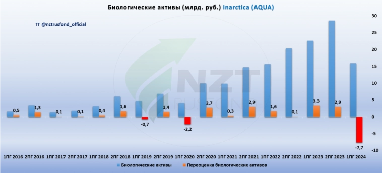 Inarctica (Русская Аквакультура) MOEX:AQUA отчет 1 ПГ 2024, крупные биологические потери и долгосрочные перспективы.