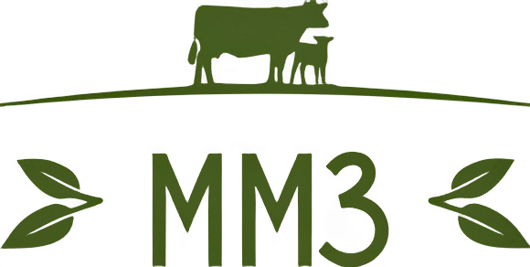 Новый эмитент на фондовом рынке. Стоит ли инвестировать в "ММЗ"?