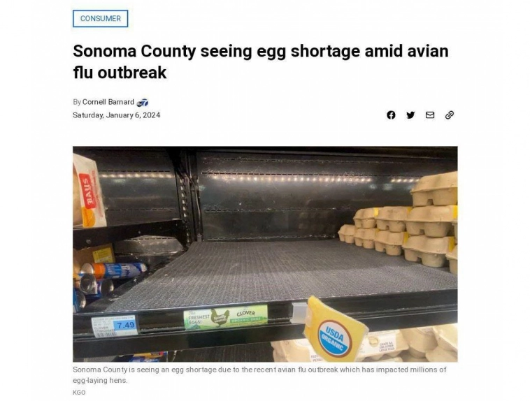 В США начался дефицит куриных яиц.