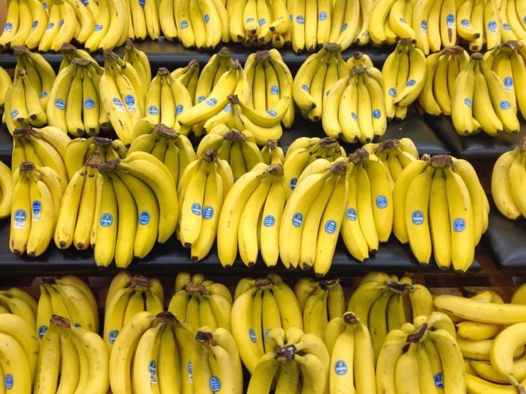 Россия вводит запрет на импорт бананов и на поставку гвоздик из Эквадора.