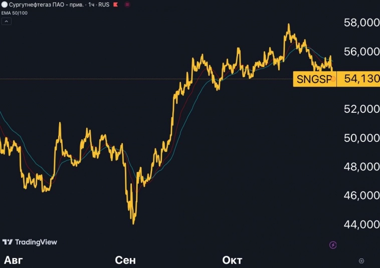 Сургут-преф $SNSGP — одна из лучших акций на рынке