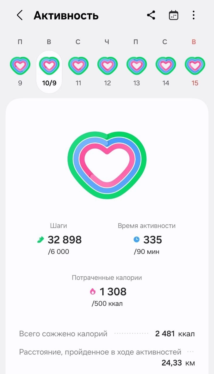 Мои итоги 2024 года: рекордный доход, 40 городов и 40 книг