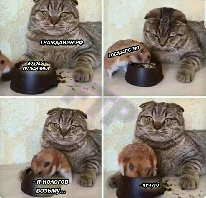 Доллар по 99.99, биткоин за $90 000, а также Илон Маск в DOGE-правительстве Доллар по 99.99, биткоин за $90 000, а также Илон Маск в DOGE-правительстве