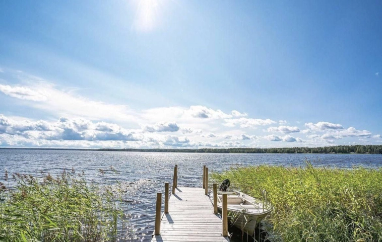 Будь у вас такая возможность, купили бы?