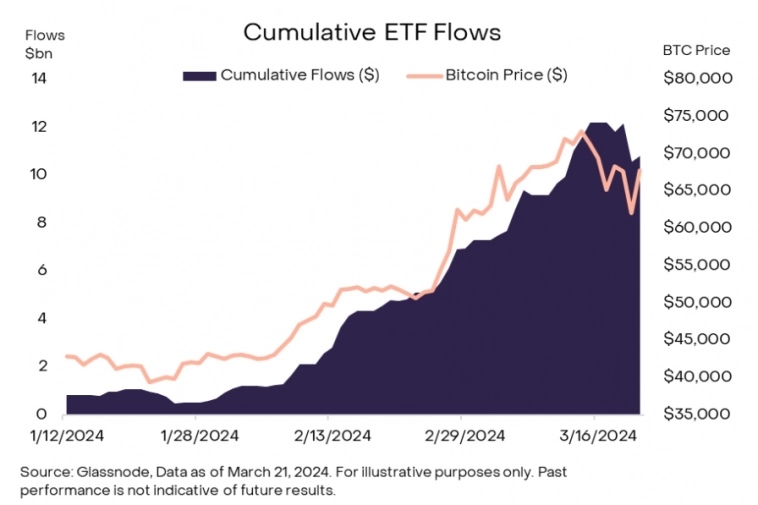 Противоречивый халвинг