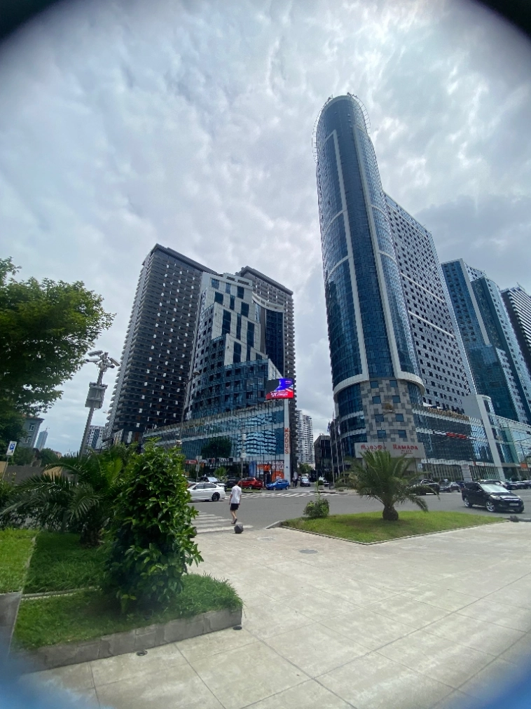 КИТАЙ, ИНДИЯ И СТРАНЫ ПЕРСИДСКОГО ЗАЛИВА ЕДУТ В ГРУЗИЮ