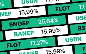 💰Дивиденды 2024