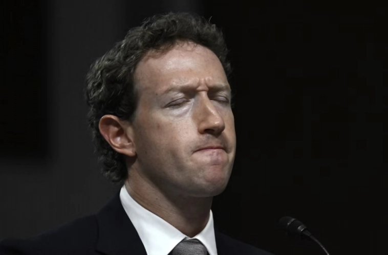 Связь между пчелами и Meta? Связь между пчелами и Meta?