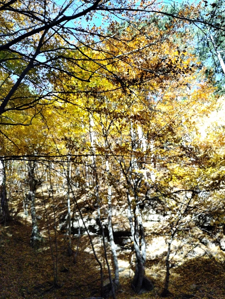 ⛰️ Ай Петри / Восхождение 🧗 100+ фото