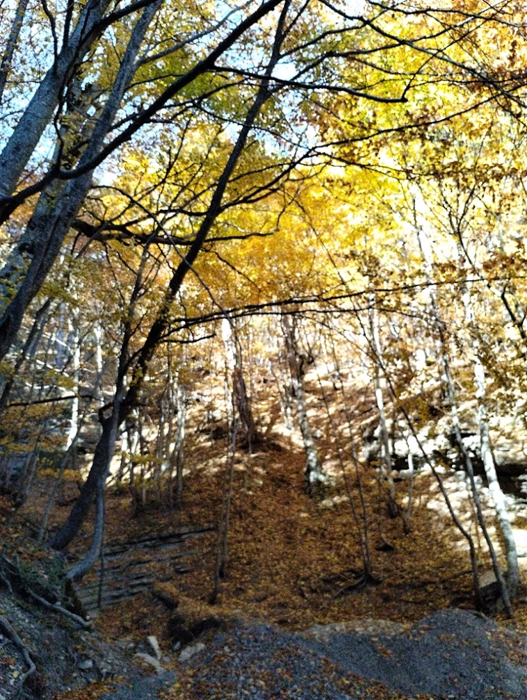 ⛰️ Ай Петри / Восхождение 🧗 100+ фото