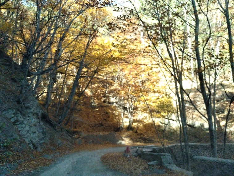 ⛰️ Ай Петри / Восхождение 🧗 100+ фото