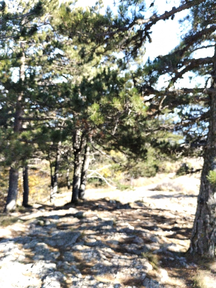 ⛰️ Ай Петри / Восхождение 🧗 100+ фото