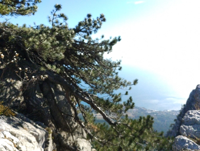 ⛰️ Ай Петри / Восхождение 🧗 100+ фото