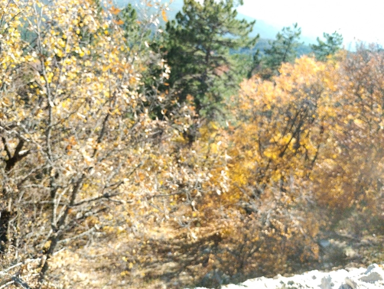 ⛰️ Ай Петри / Восхождение 🧗 100+ фото