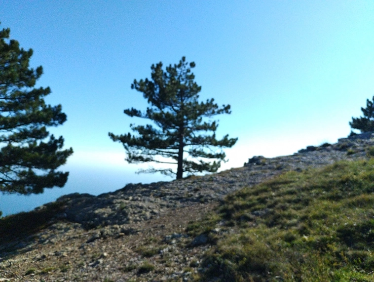 ⛰️ Ай Петри / Восхождение 🧗 100+ фото