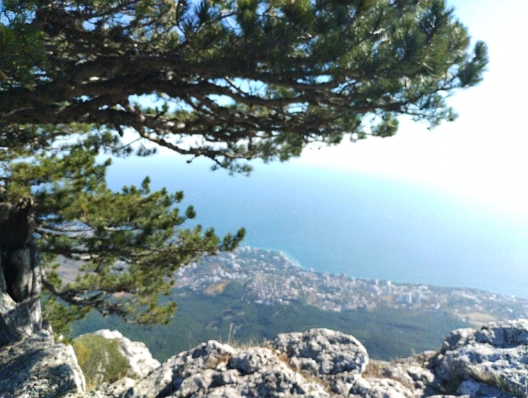 ⛰️ Ай Петри / Восхождение 🧗 100+ фото