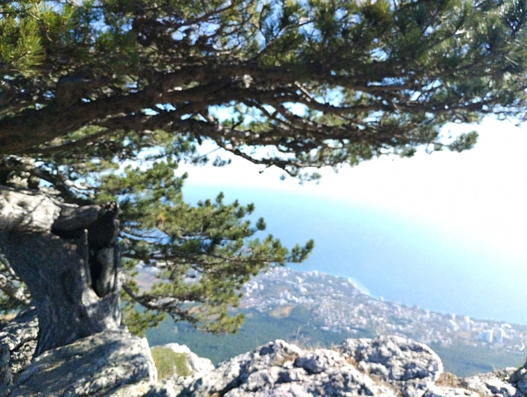 ⛰️ Ай Петри / Восхождение 🧗 100+ фото