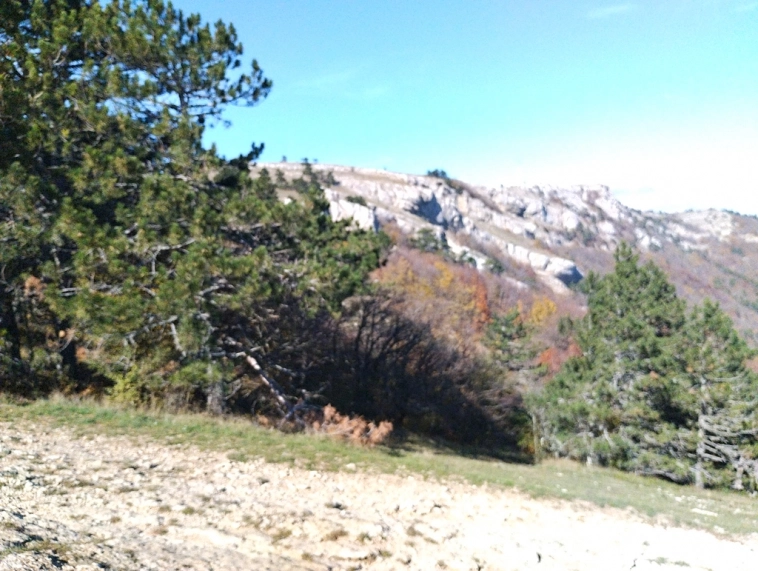 ⛰️ Ай Петри / Восхождение 🧗 100+ фото