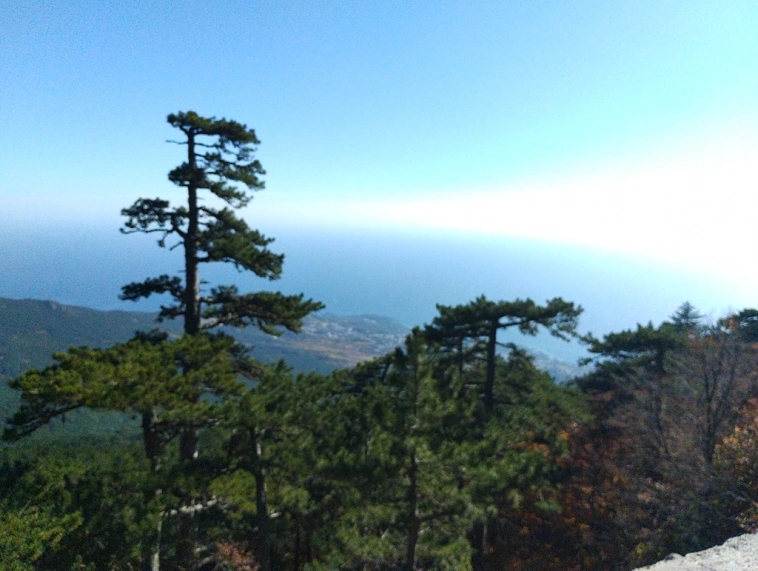 ⛰️ Ай Петри / Восхождение 🧗 100+ фото