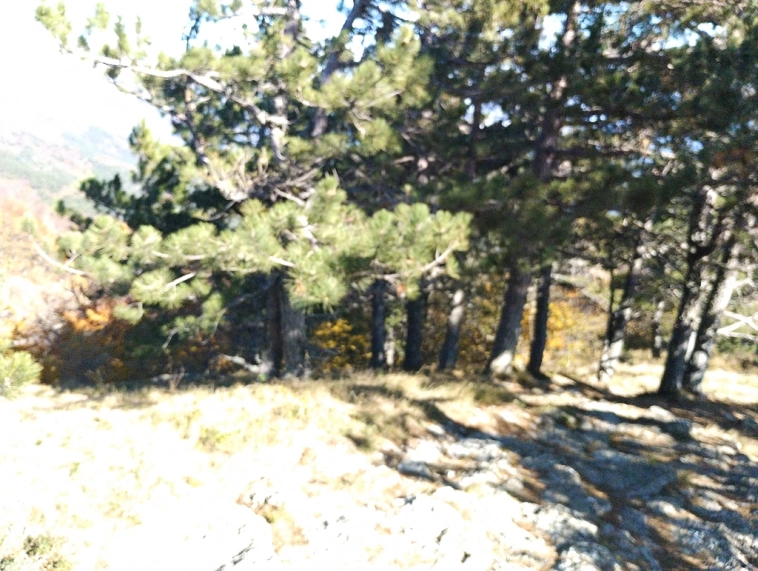 ⛰️ Ай Петри / Восхождение 🧗 100+ фото