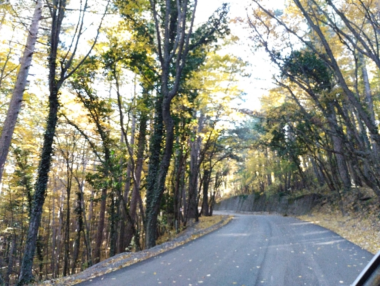 ⛰️ Ай Петри / Восхождение 🧗 100+ фото