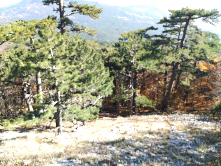 ⛰️ Ай Петри / Восхождение 🧗 100+ фото