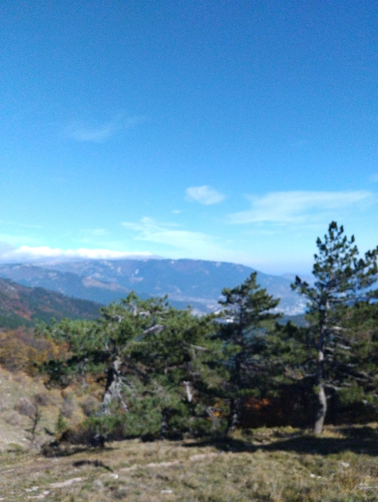 ⛰️ Ай Петри / Восхождение 🧗 100+ фото