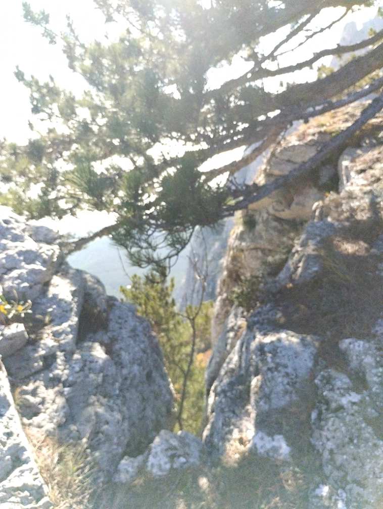 ⛰️ Ай Петри / Восхождение 🧗 100+ фото